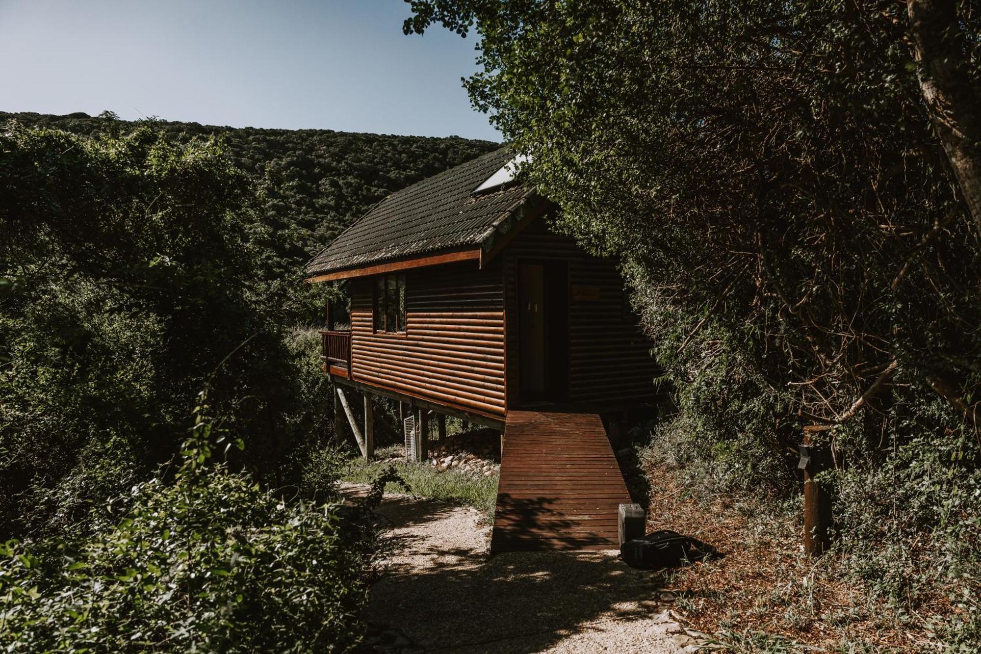 Thunzi Bush Lodge Beachview Екстер'єр фото